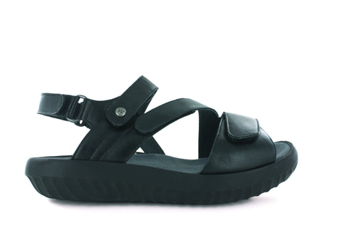 Bliss XW-Black