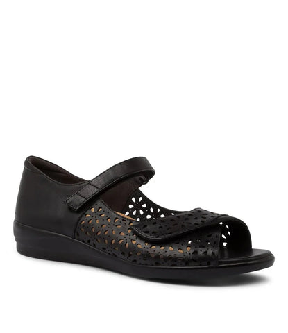 Daffodil Black