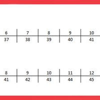 Haflinger size conversion chart